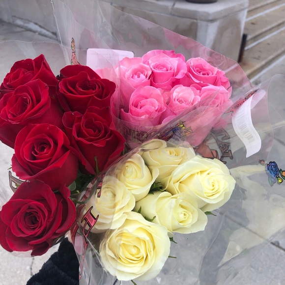 Meet your Posher, Haidee - Picture 1 of 1